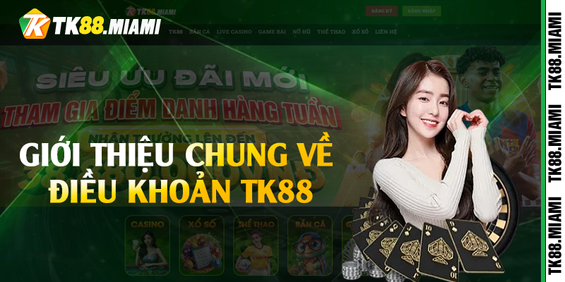 Giới thiệu chung về điều khoản TK88